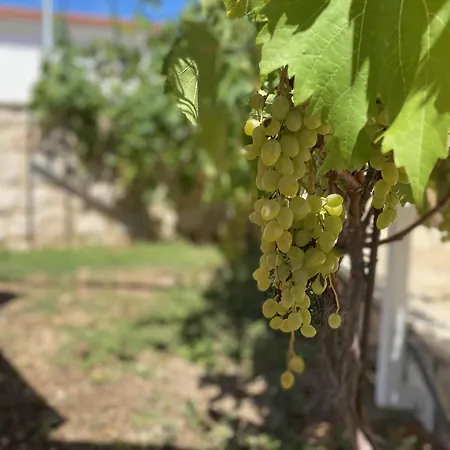 Semesterbostad House Little Flower 2 Trogir